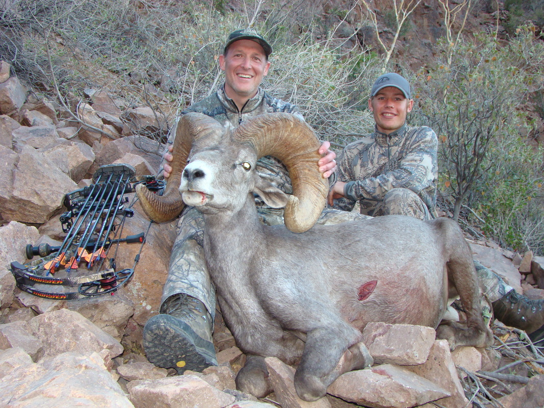 Bow Hunters posing with sheep after a successful mountain hunt.