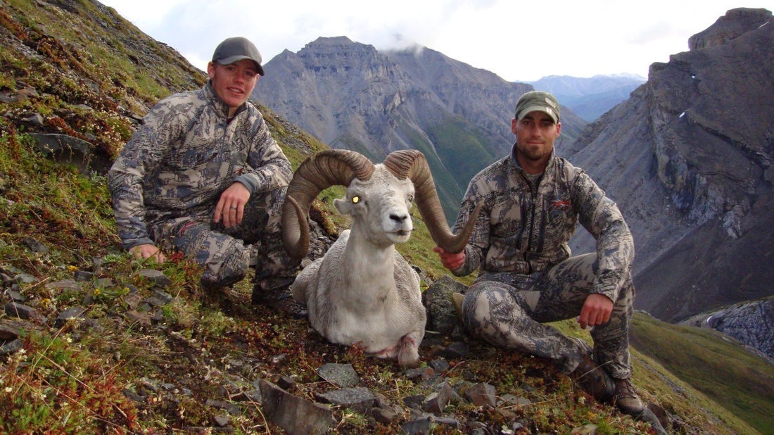 Hunters posing with sheep after a mountain hunt.