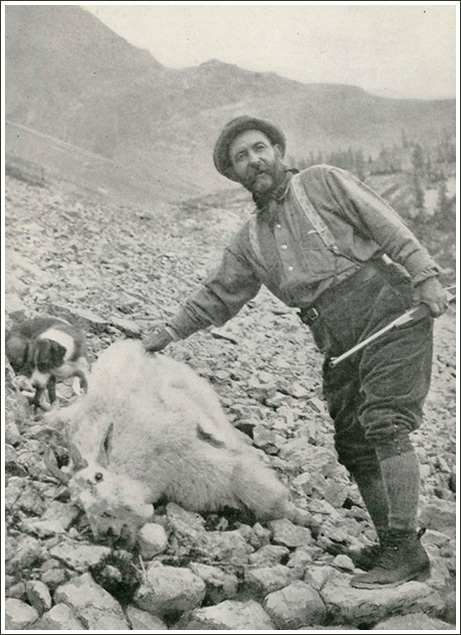 William Hornaday and East Kootenay Goat