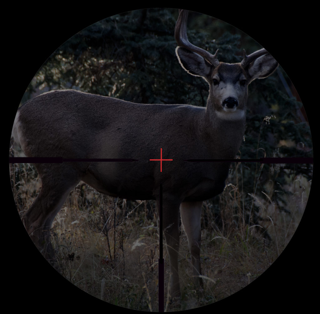Deer_Illuminated reticle