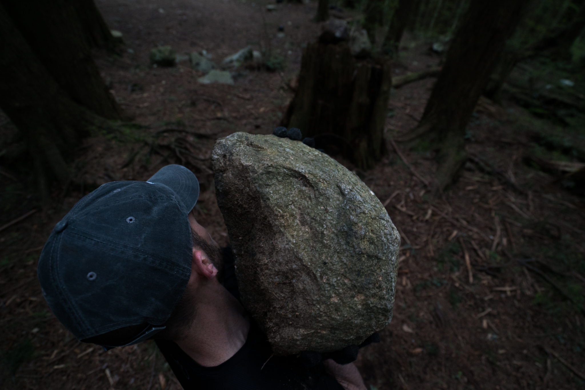  Journal of Mountain Hunting